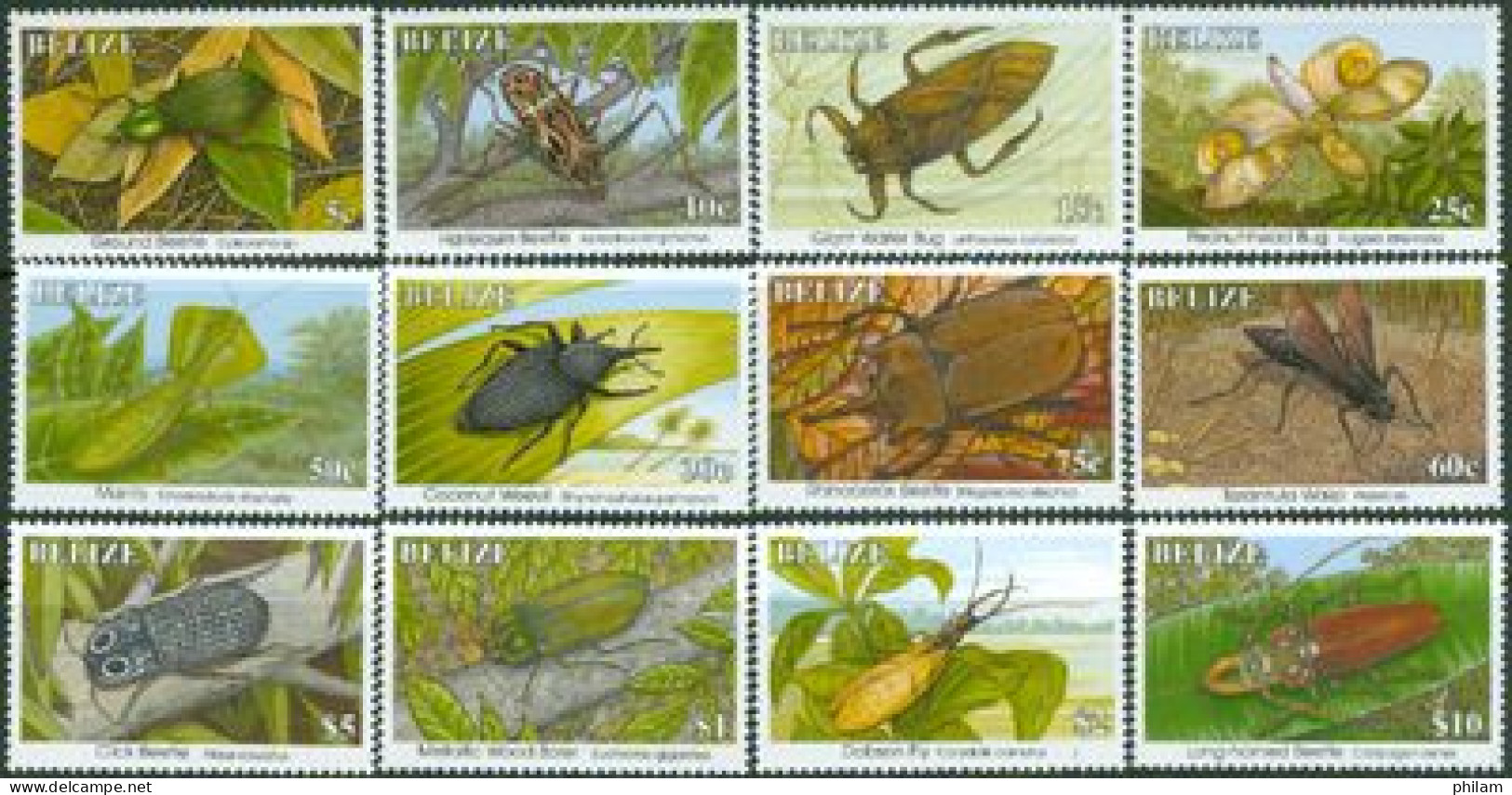 BELIZE 1995 -série Courante - Insectes - 12 V. - Belice (1973-...)