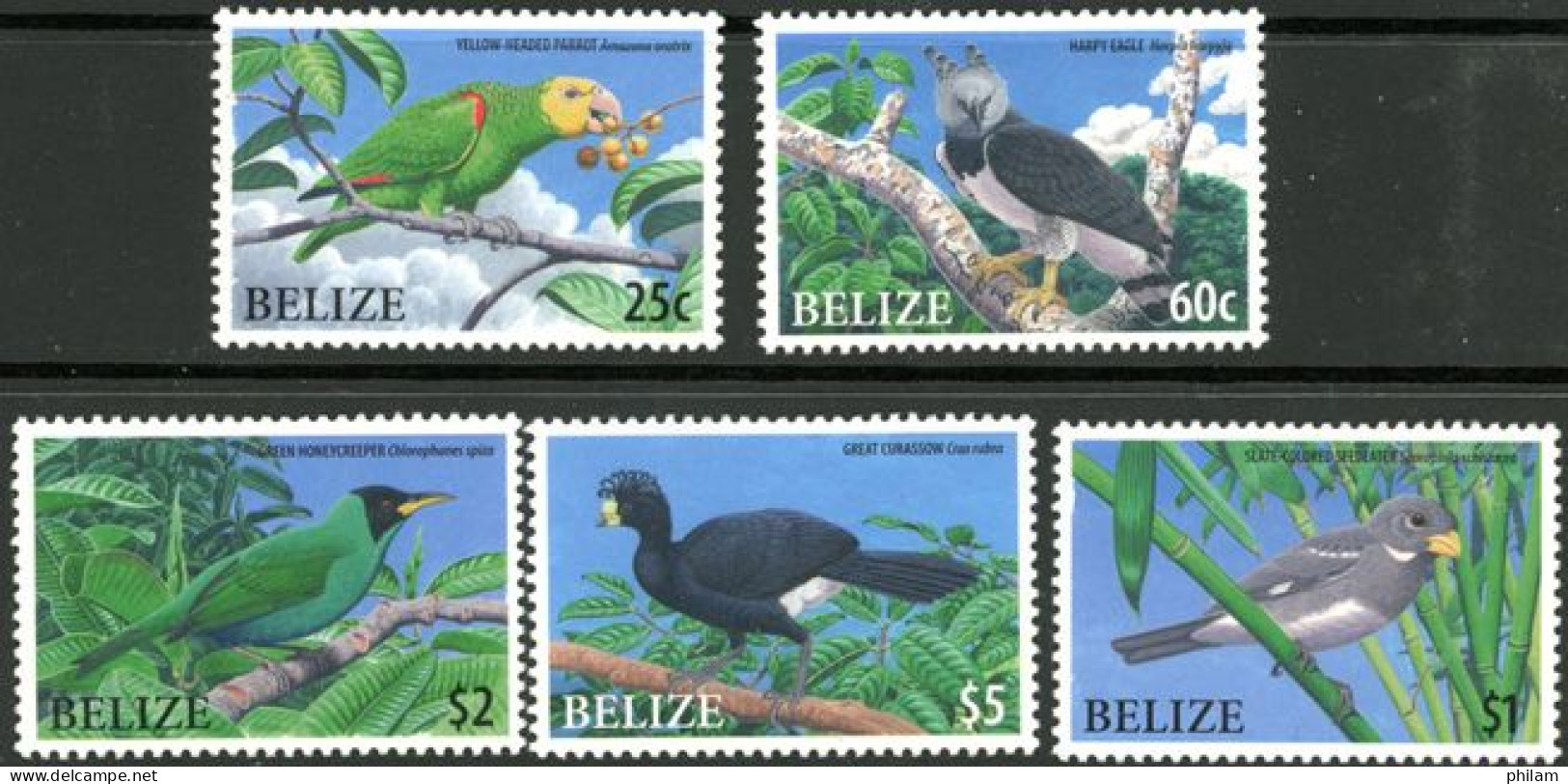 BELIZE 2009 - Oiseaux En Danger - 5 V. - Belize (1973-...)