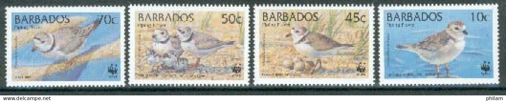 BARBADOS 1999 - W.W.F. - Vanneau - Charadrius Melodus - 4 V. - Barbades (1966-...)