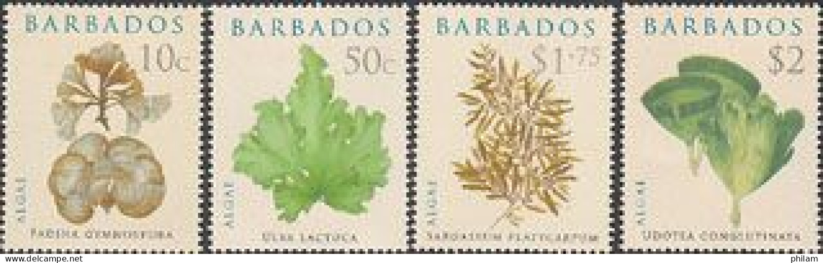 BARBADOS 2008 - Algues - Plantes Et Fleurs - 4 V. - Barbados (1966-...)