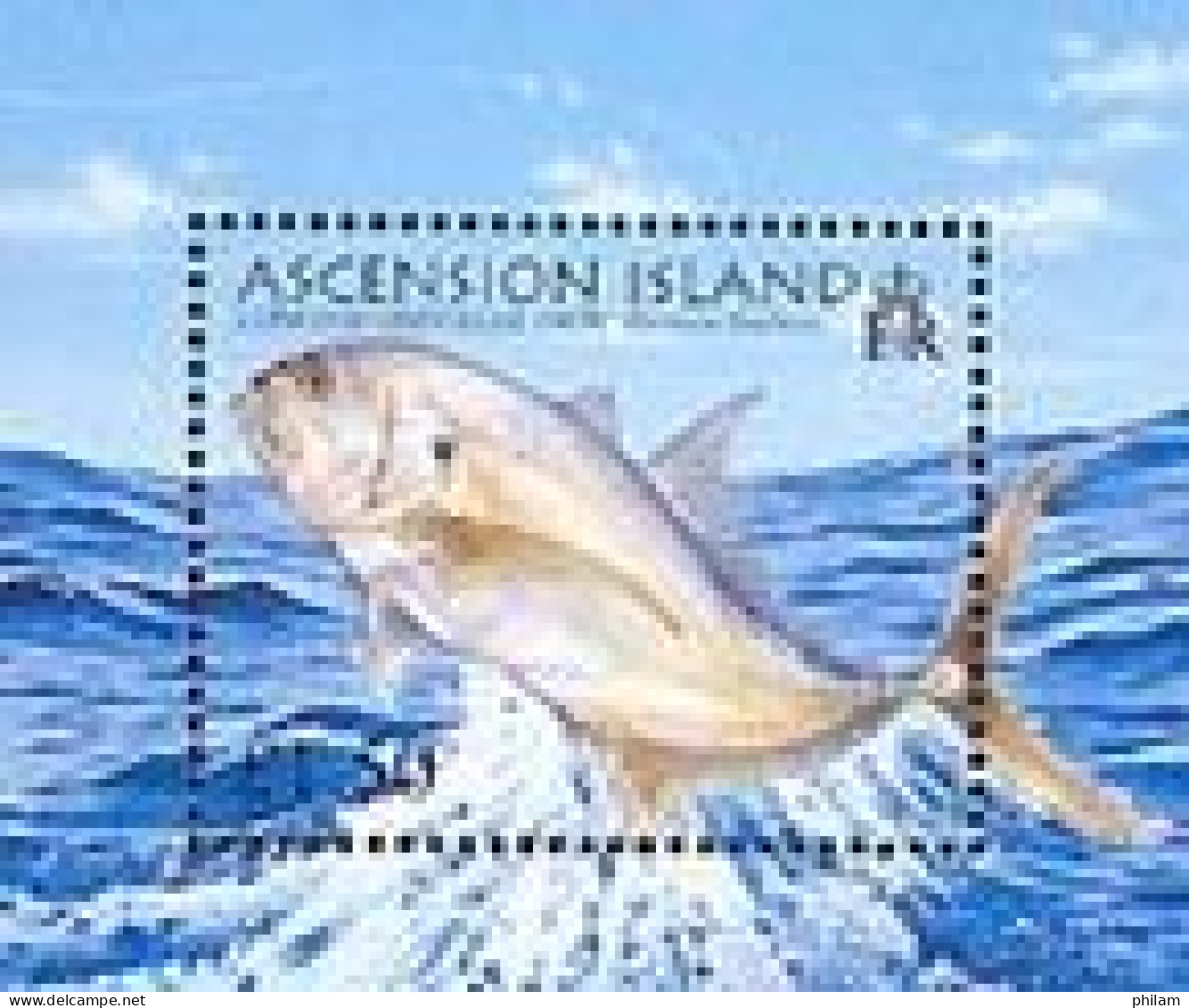 ASCENSION 2006 - Poisson Longfin Crevalle Jack - BF - Ascensión