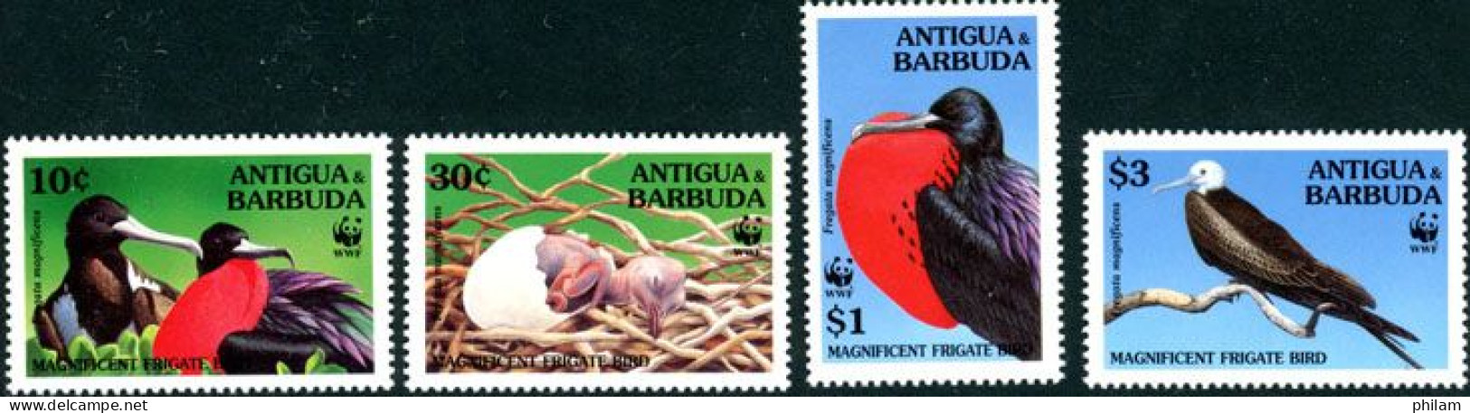 ANTIGUA ET BARBUDA 1994 - W.W.F. Oiseaux - La Fregate - 4 V. - Antigua And Barbuda (1981-...)