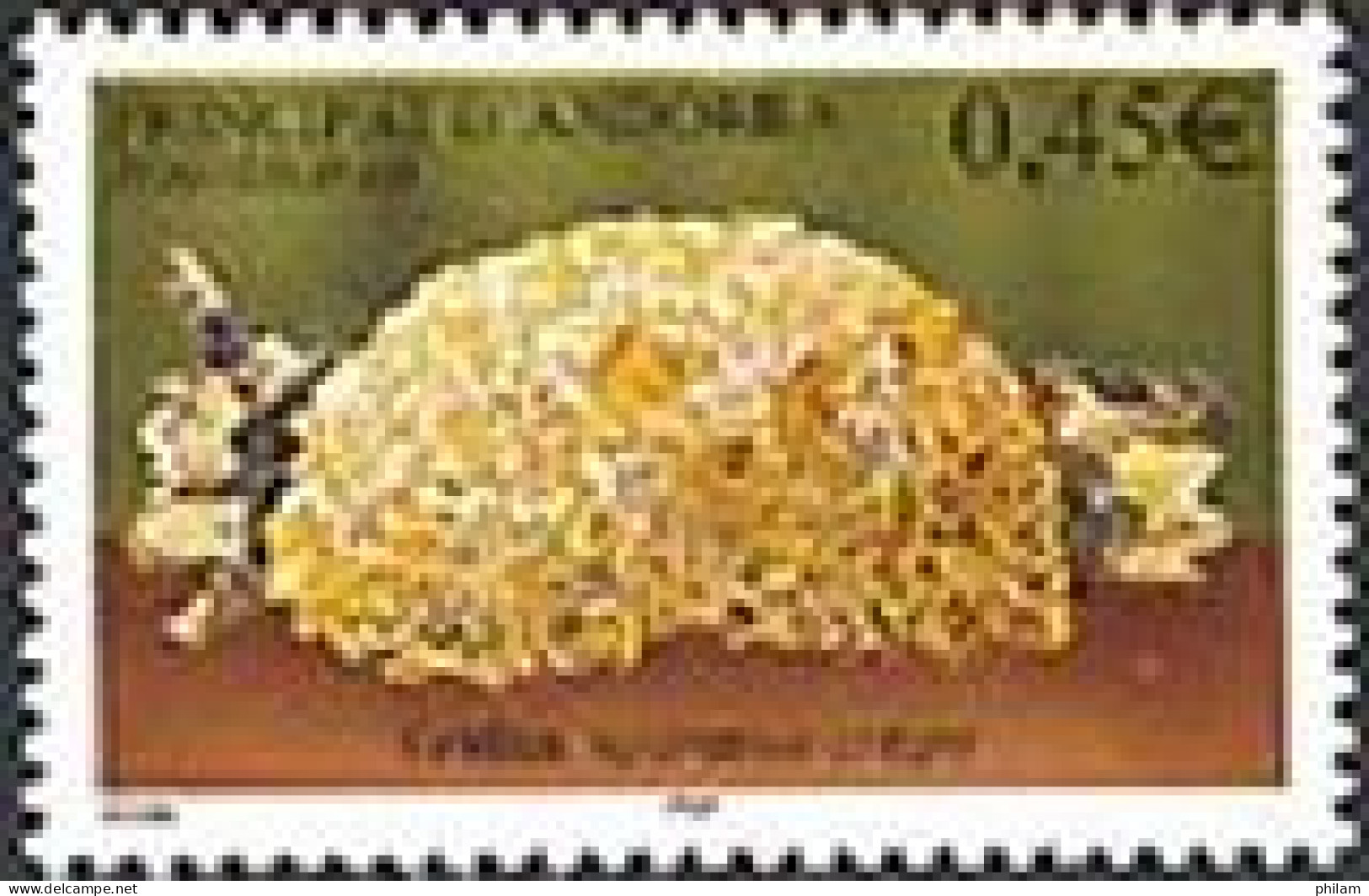 ANDORRE FRANCAIS 2003 - Champignon Sparassis Crispa - 1 V. - Unused Stamps