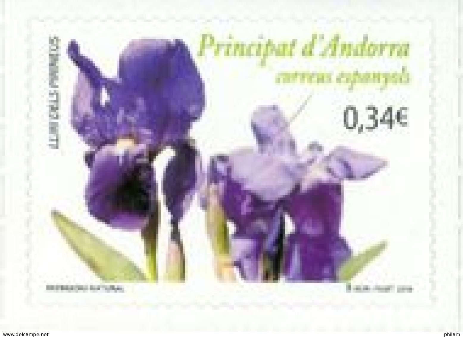 ANDORRA ESPAGNOL  2010 - Fleurs - Lliri Dels Pirineus - 1 V. - Adhésif - Unused Stamps