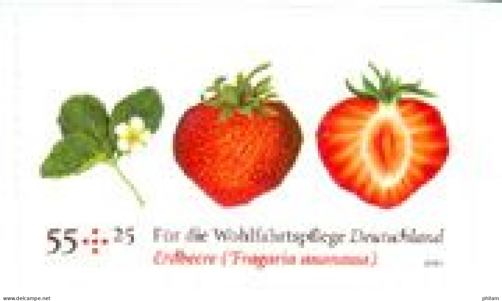 ALLEMAGNE  - 2010 - Bienfaisance: Fruits - Fraises - 1 V. Adhésif De Carnet - Unused Stamps