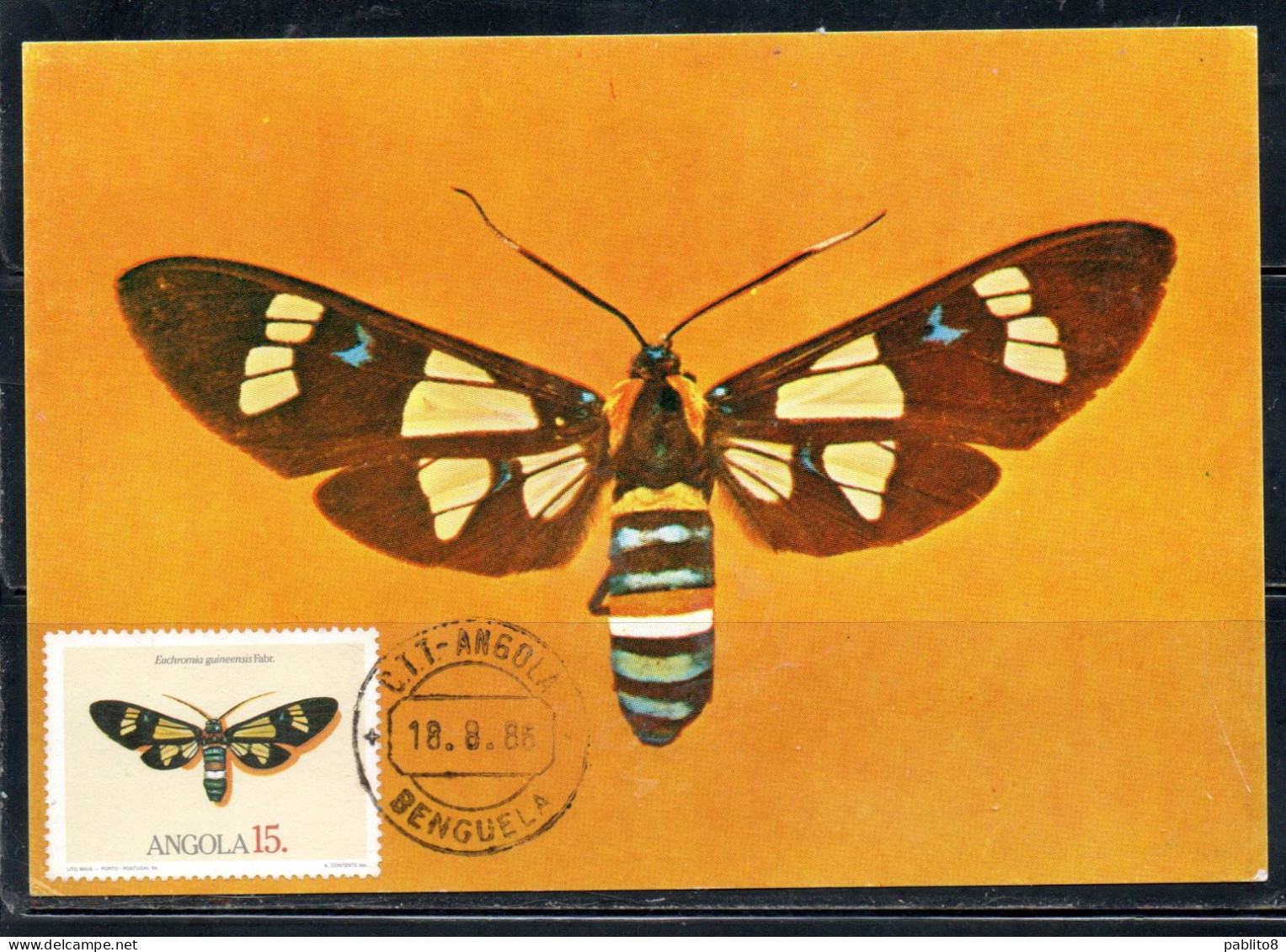 ANGOLA 1984 LOCAL BUTTERFLIES EUCHROMIA GUINEENSIS BUTTERFLY 15k MAXI MAXIMUM CARD - Angola