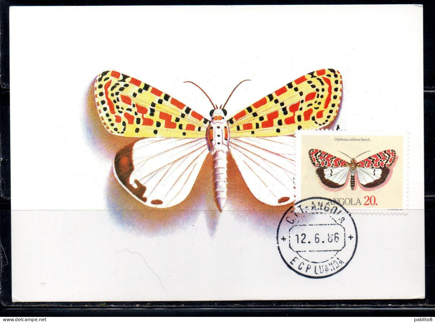 ANGOLA 1984 LOCAL BUTTERFLIES UTETHEISA CALLIMA BUTTERFLY 20k MAXI MAXIMUM CARD - Angola