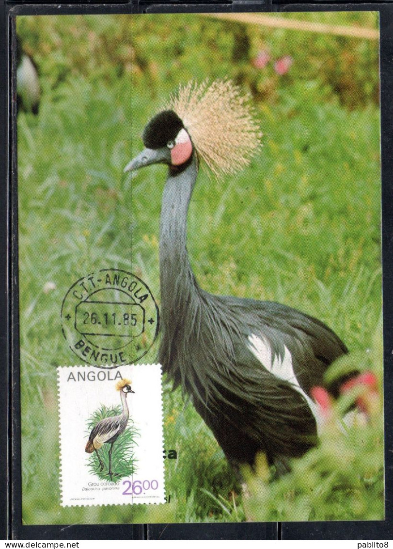 ANGOLA 1984 LOCAL BIRDS BALEARICA PAVONNIA BIRD 26k MAXI MAXIMUM CARD - Angola