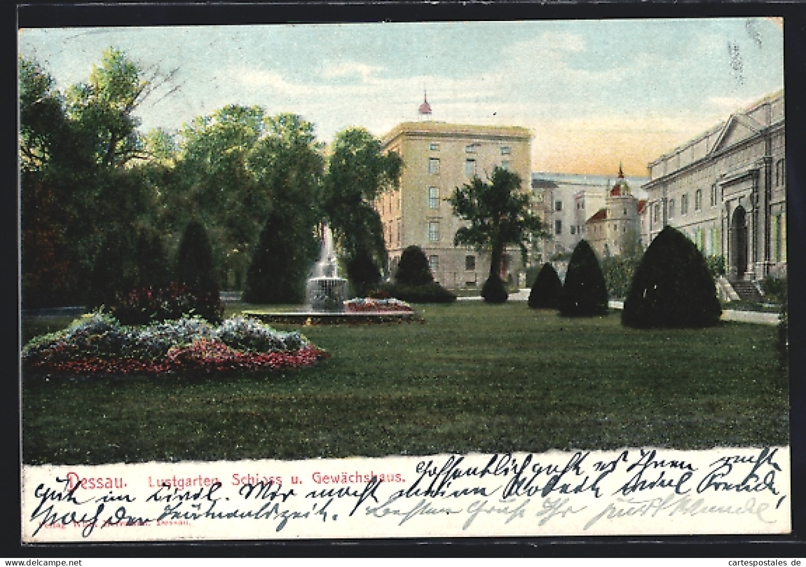 AK Dessau, Lustgarten Mit Schloss Und Gewächshaus  - Dessau