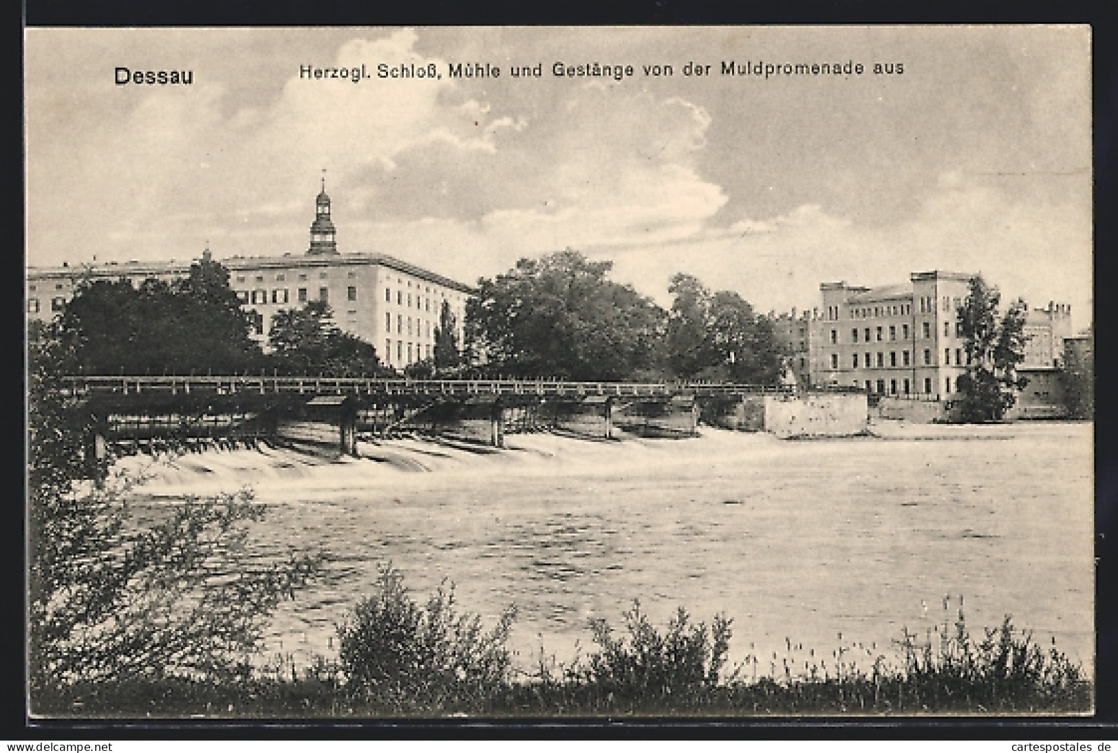 AK Dessau, Herzogliches Schloss, Mühle Und Gestänge Von Der Muldpromenade Aus  - Dessau