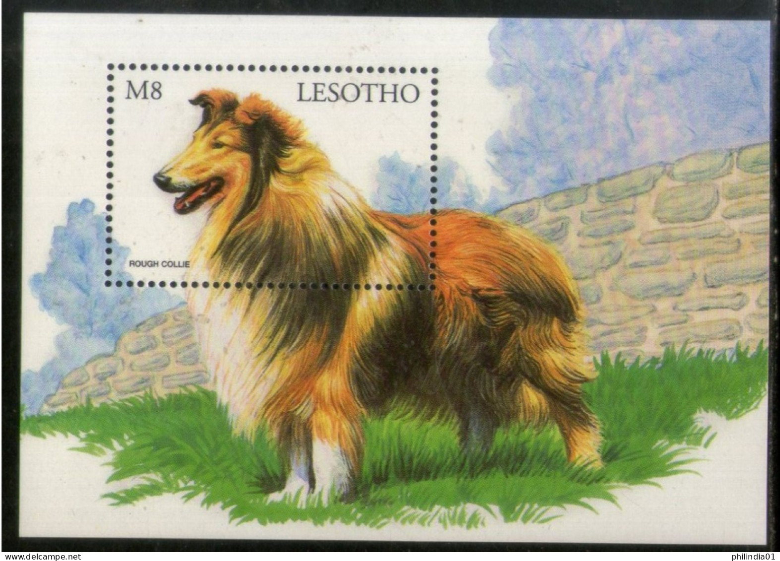 Lesotho 1999 Rough Collie Dogs Of World Pet Animals Sc 1175 M/s MNH # 1039 - Cani