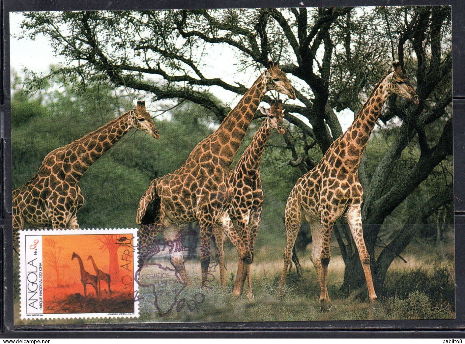 ANGOLA 1991 TOURISM IONA NATIONAL PARK 3k MAXI MAXIMUM CARD - Angola