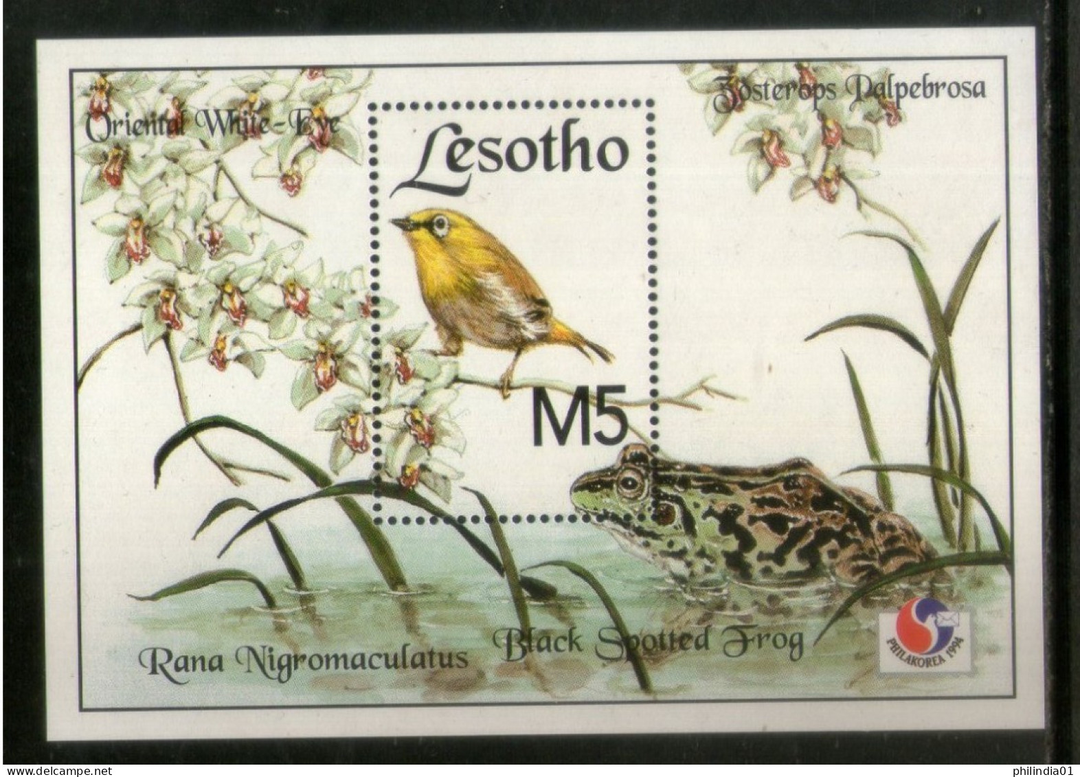 Lesotho 1994 Frog & Birds Amphibians Animals Sc 1016 M/s MNH # 12626 - Frogs