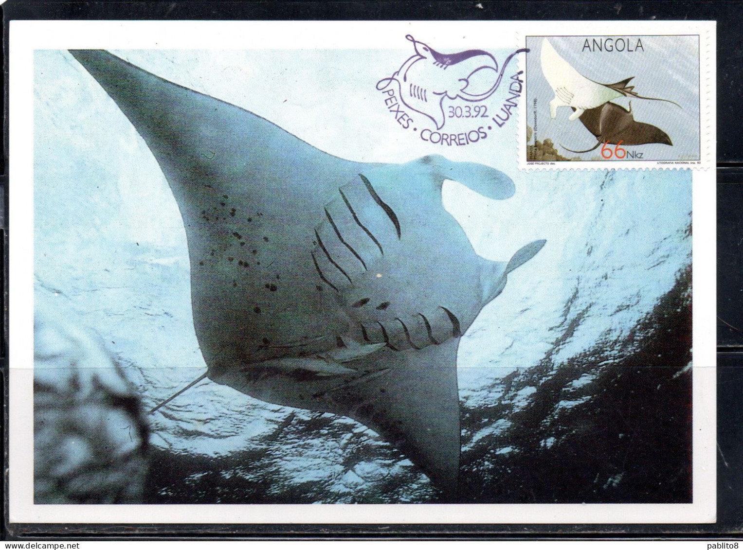 ANGOLA 1992 RAYS MANTA BIROSTRIS 66k MAXI MAXIMUM CARD - Angola