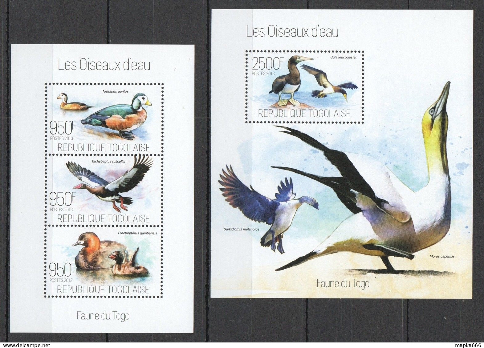 Tg627 2013 Togo Fauna Water Birds Les Oiseaux D'Eau Kb+Bl Mnh - Other & Unclassified