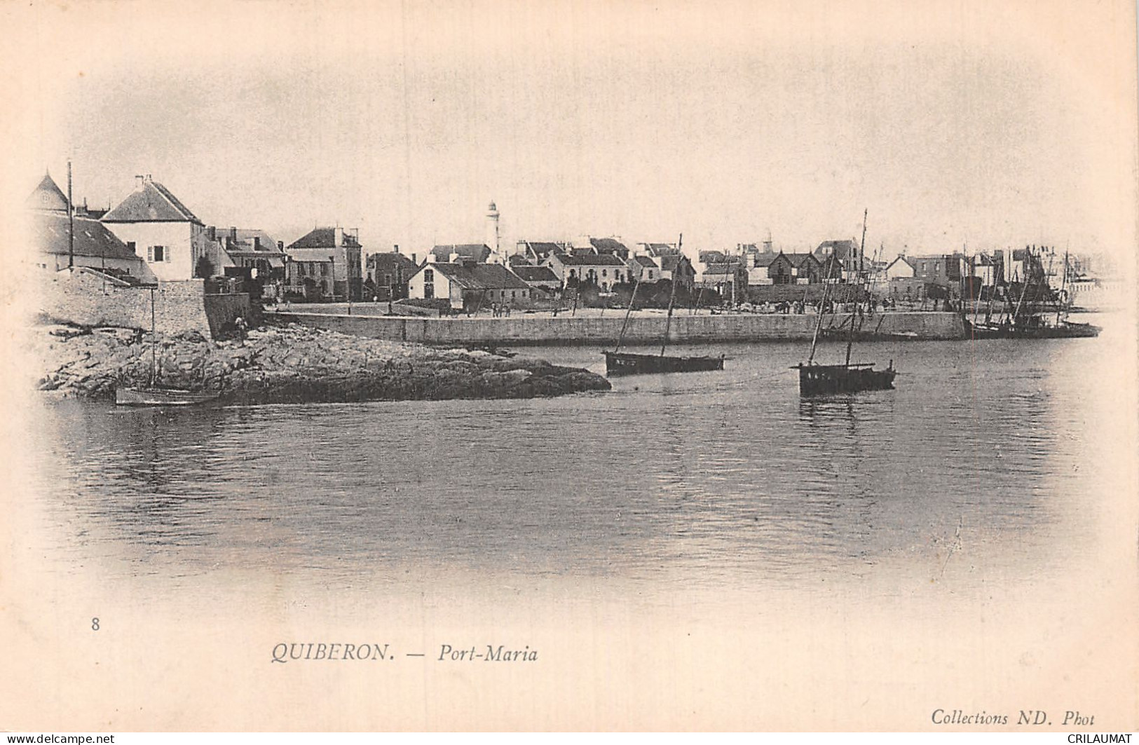 56-QUIBERON-N°T5094-D/0053 - Quiberon