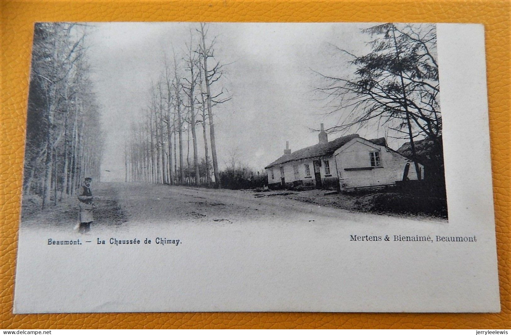 BEAUMONT - La Chaussée De Chimay   -  1903 - Beaumont