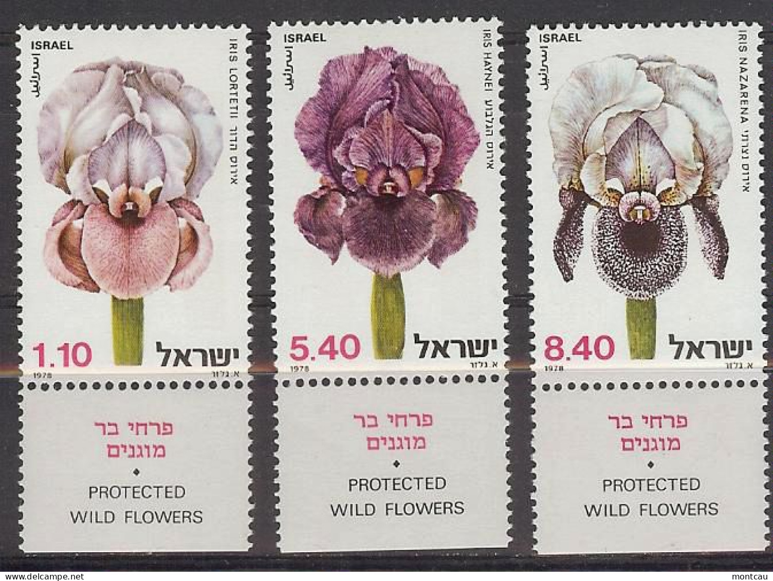 Israel 1978.  Flowers Mi 782-84  (**) - Nuevos (con Tab)