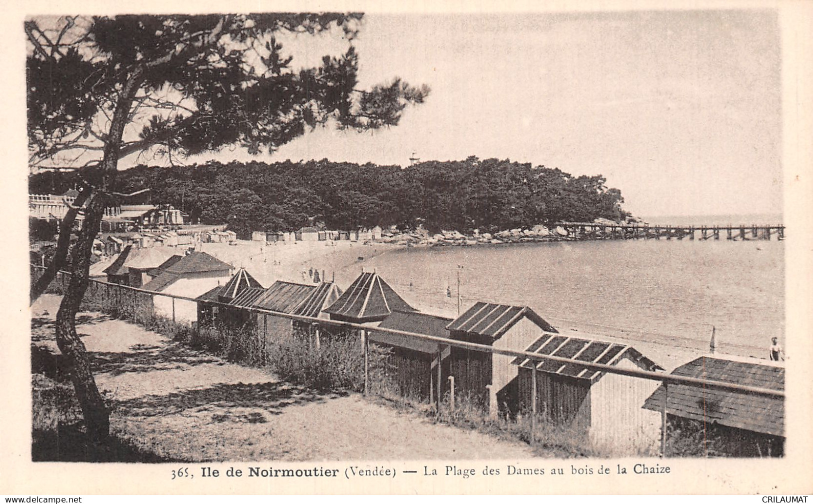 85-ILE DE NOIRMOUTIER PLAGE DES DAMES-N°T5095-E/0299 - Ile De Noirmoutier