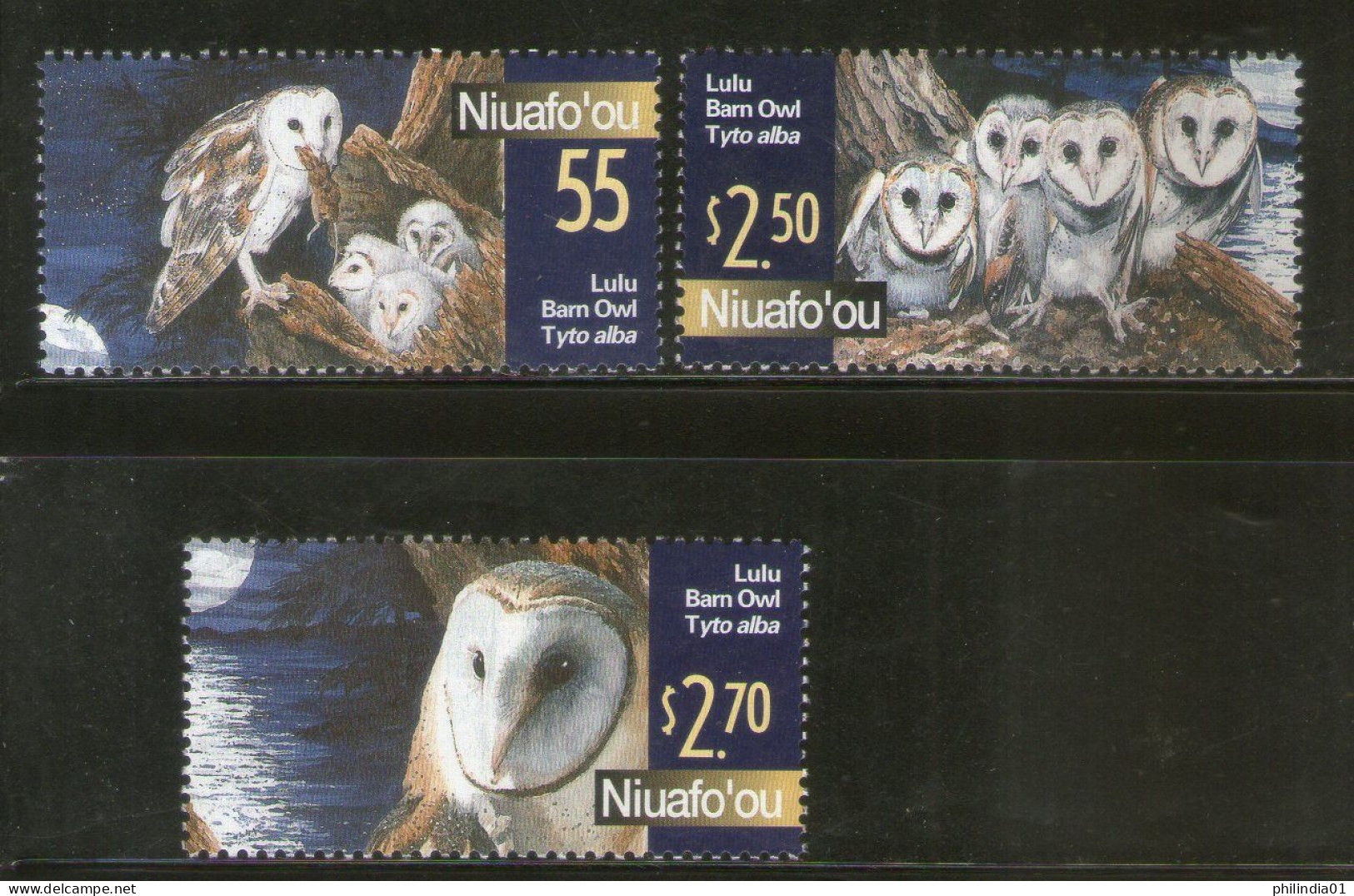 Niuafo’ou Tonga 2018 Lulu Barn Owls Birds Of Prey Wildlife 3v MNH # 2812 - Gufi E Civette