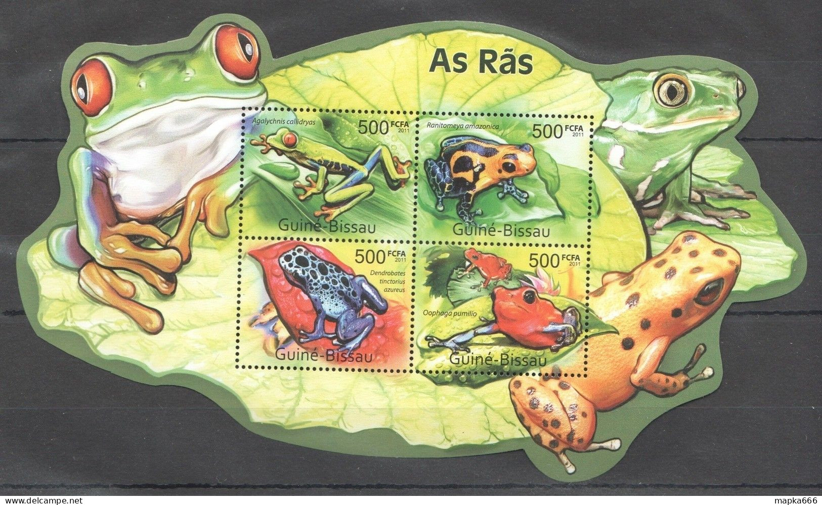 Bc660 2011 Guinea-Bissau Fauna Reptiles & Amphibians Frogs As Ras Kb Mnh - Altri & Non Classificati