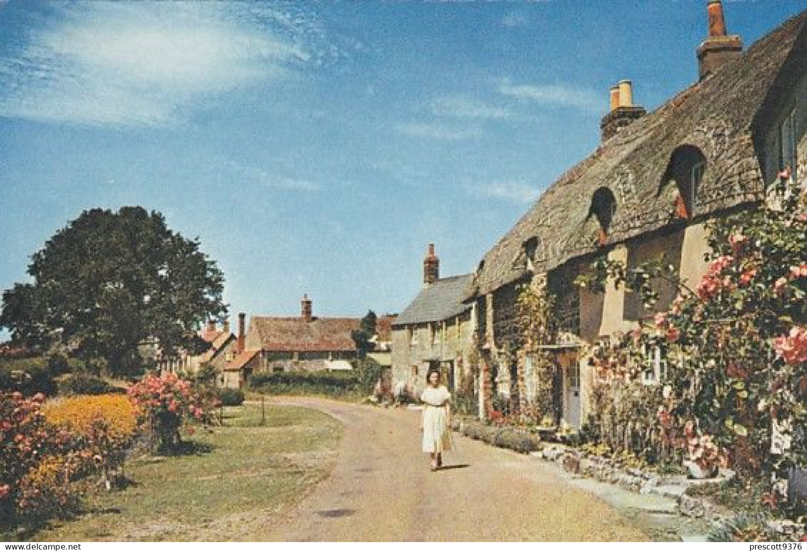 Winkle Street Calbourne - Isle Of Wight  - Unused Postcard - Iow1 - Other & Unclassified