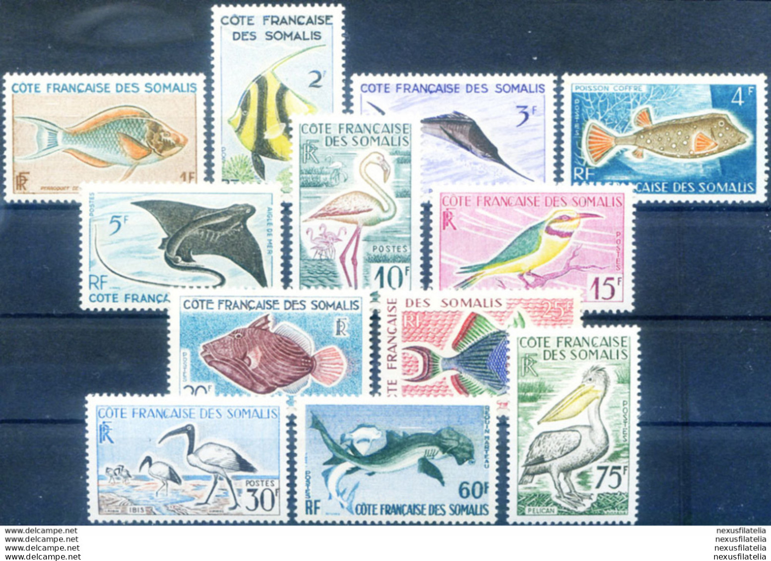 Costa Dei Somali. Definitiva. Fauna 1959-1960. - Djibouti (1977-...)