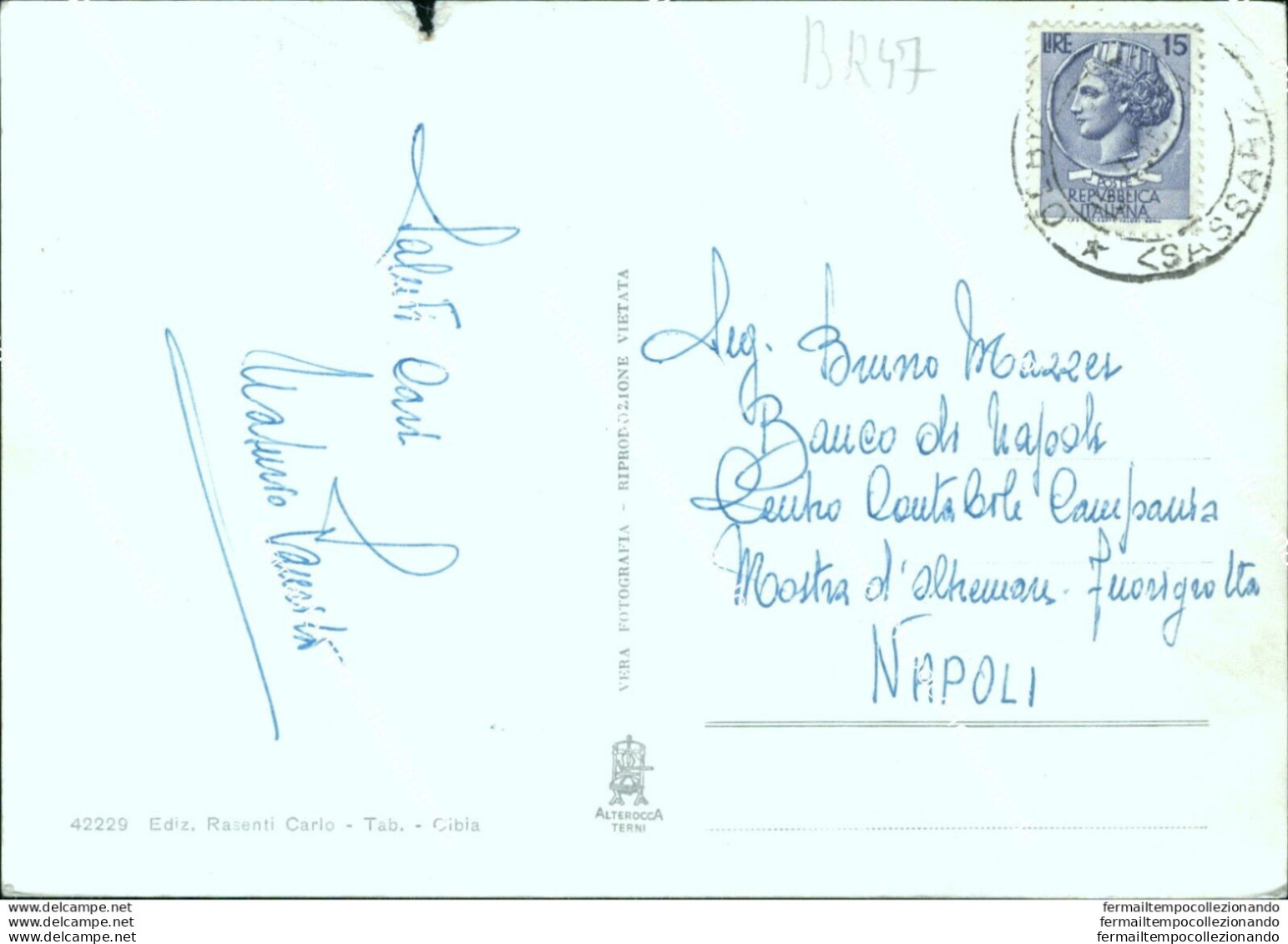 Br47 Cartolina Saluti Da Olbia Provincia Di Sassari Sardegna - Sassari