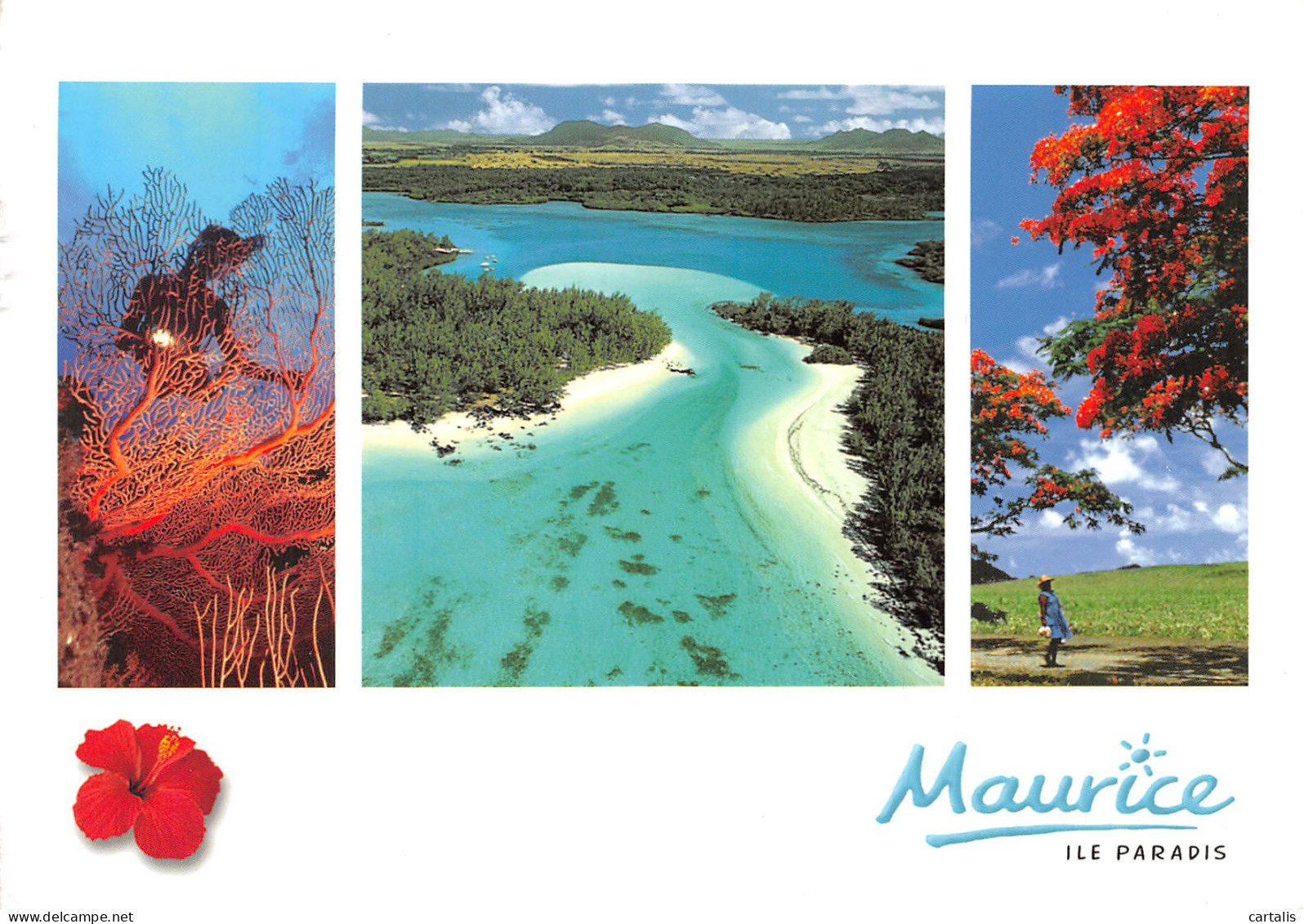 MAU-ILE MAURICE-N°C4075-A/0075 - Mauritius