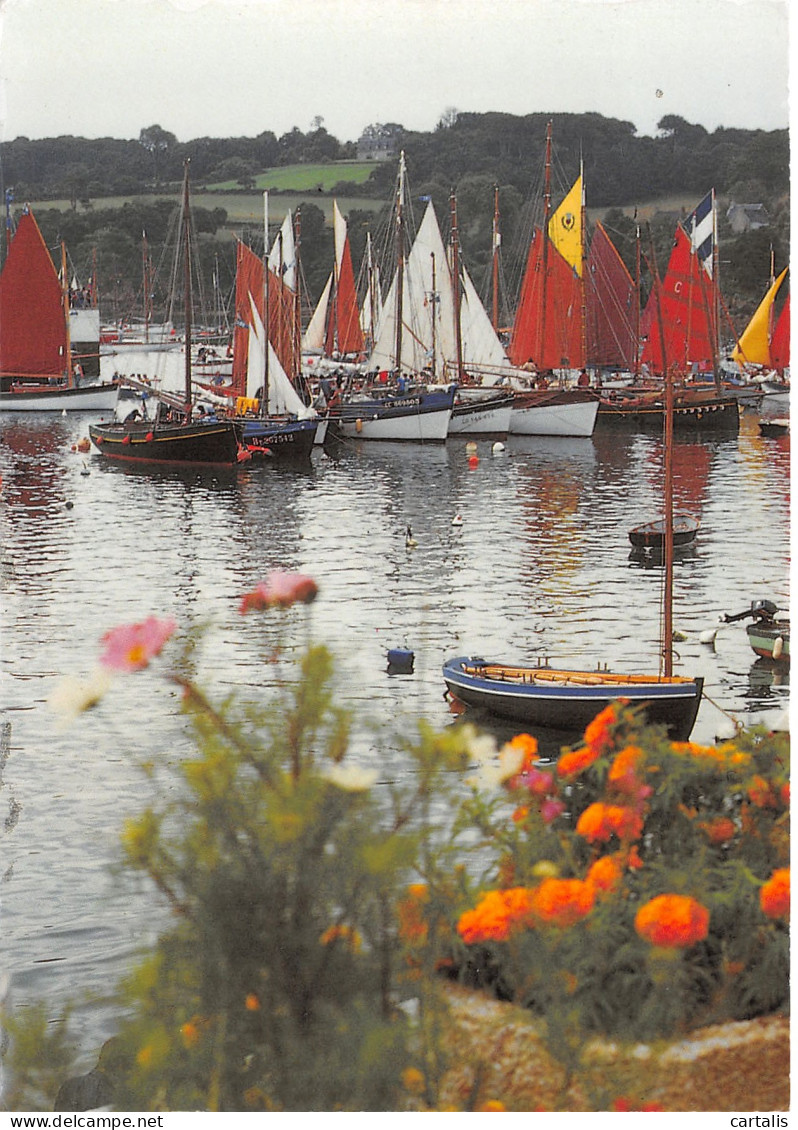 29-DOUARNENEZ-N°C4074-D/0239 - Douarnenez