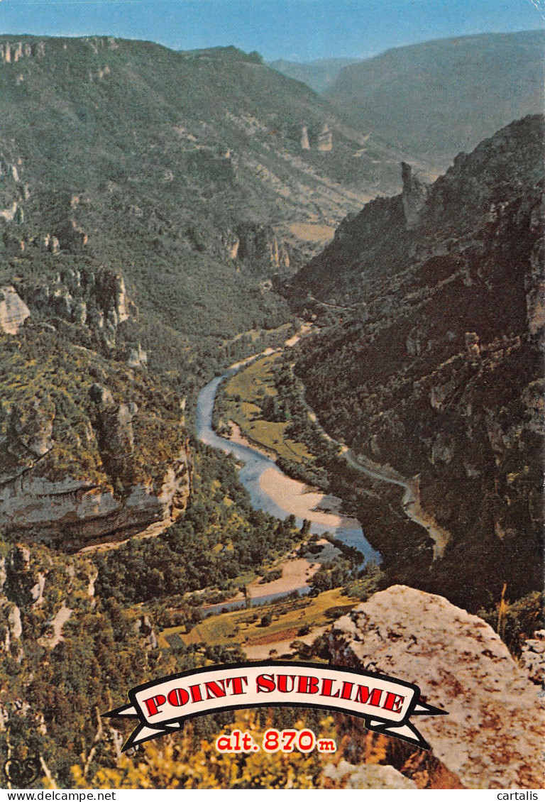 48-GORGES DU TARN POINT SUBLIME-N°C4075-A/0163 - Gorges Du Tarn