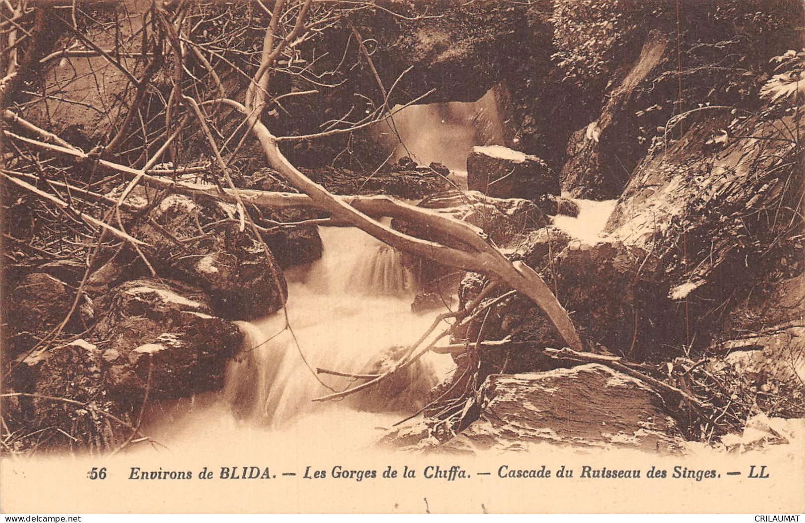 ET-ALGERIE BLIDA-N°T5098-A/0111 - Blida