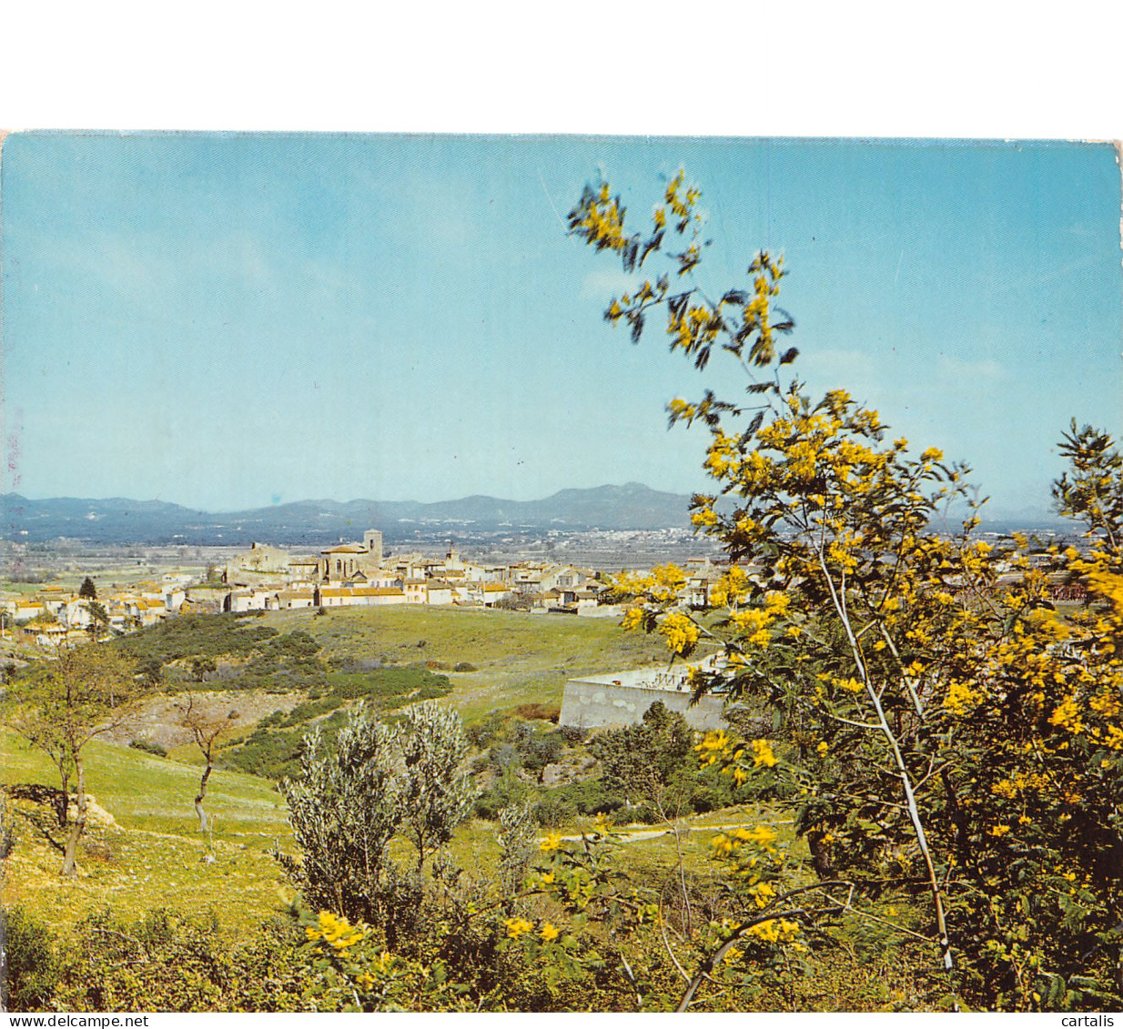 83-ROQUEBRUNE SUR ARGENS-N°C4076-A/0079 - Roquebrune-sur-Argens