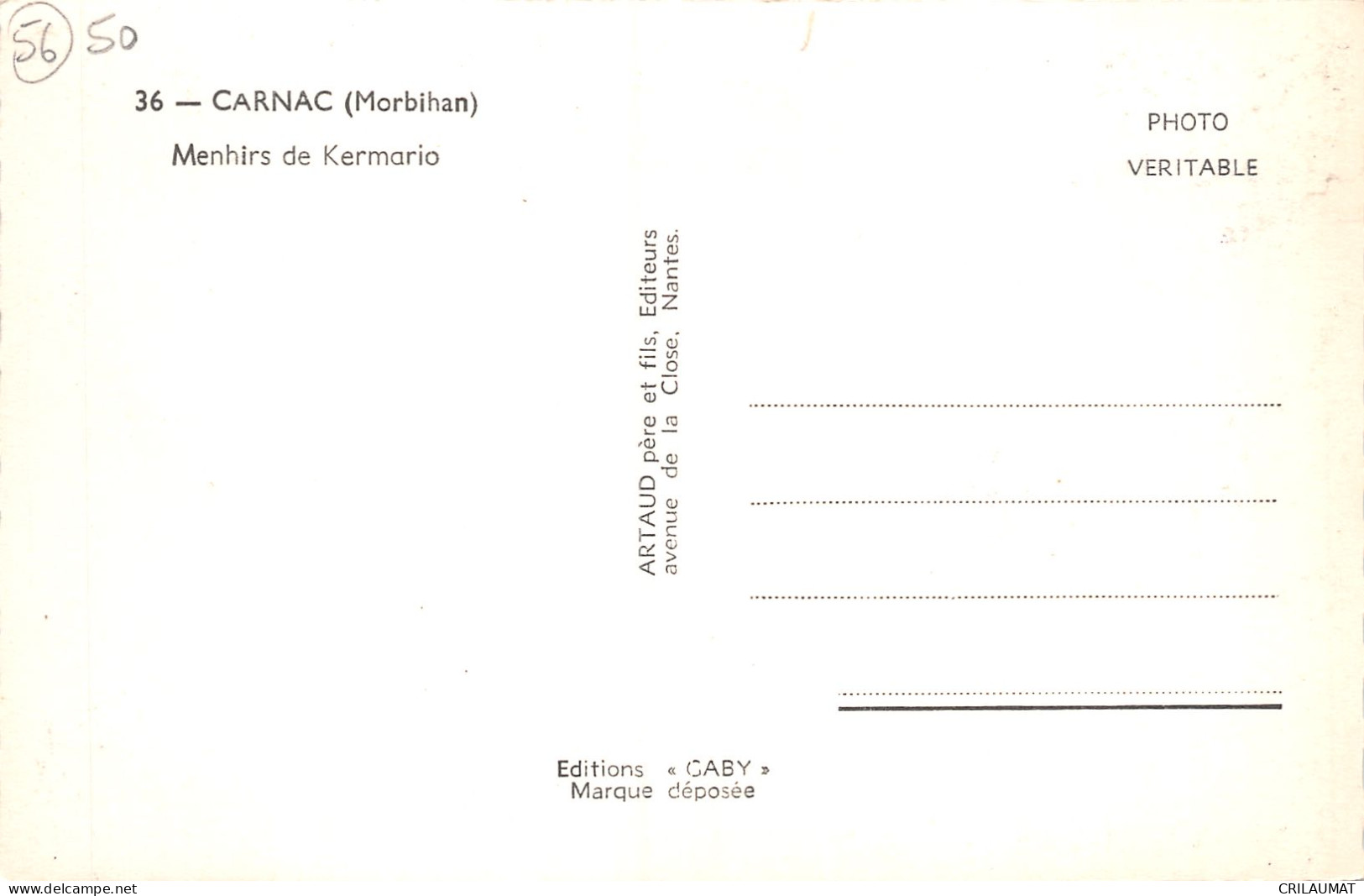 56-CARNAC-N°T5098-D/0113 - Carnac