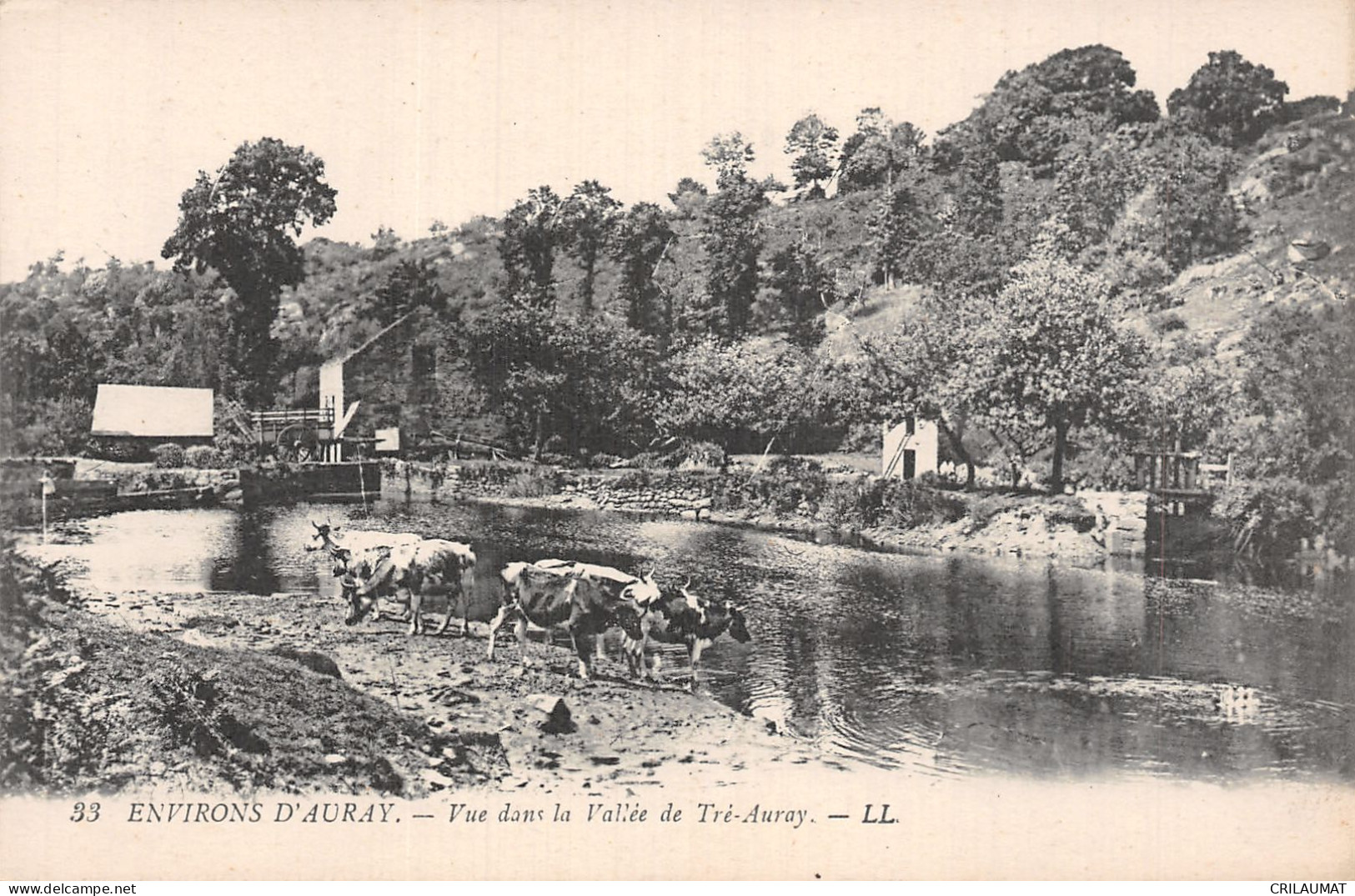 56-AURAY -N°T5098-B/0285 - Auray