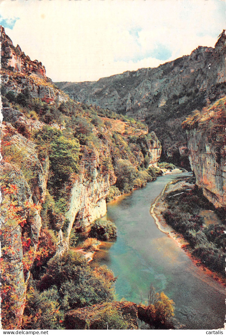 81-LES GORGES DU TARN-N°C4077-A/0049 - Sonstige & Ohne Zuordnung