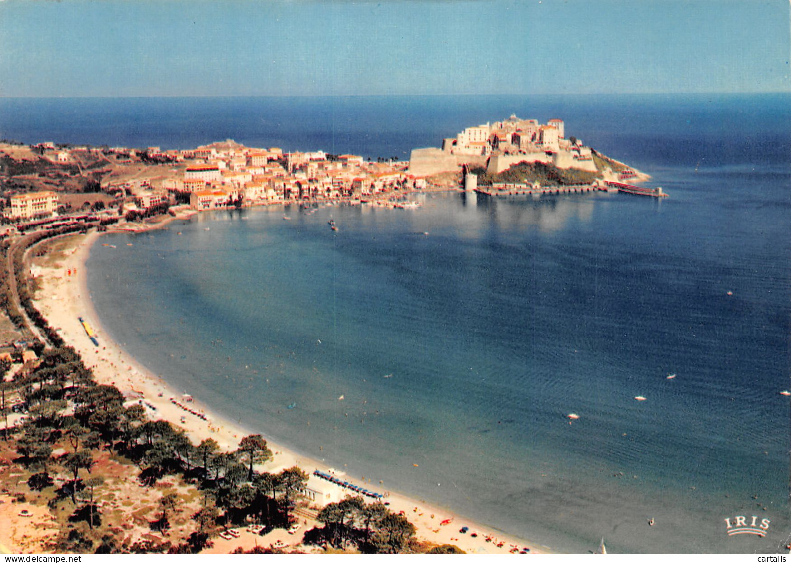 2B-CALVI-N°C4077-D/0121 - Calvi