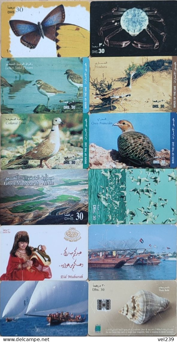Bird, Sea, Butterfly, Shell - Ver. Arab. Emirate