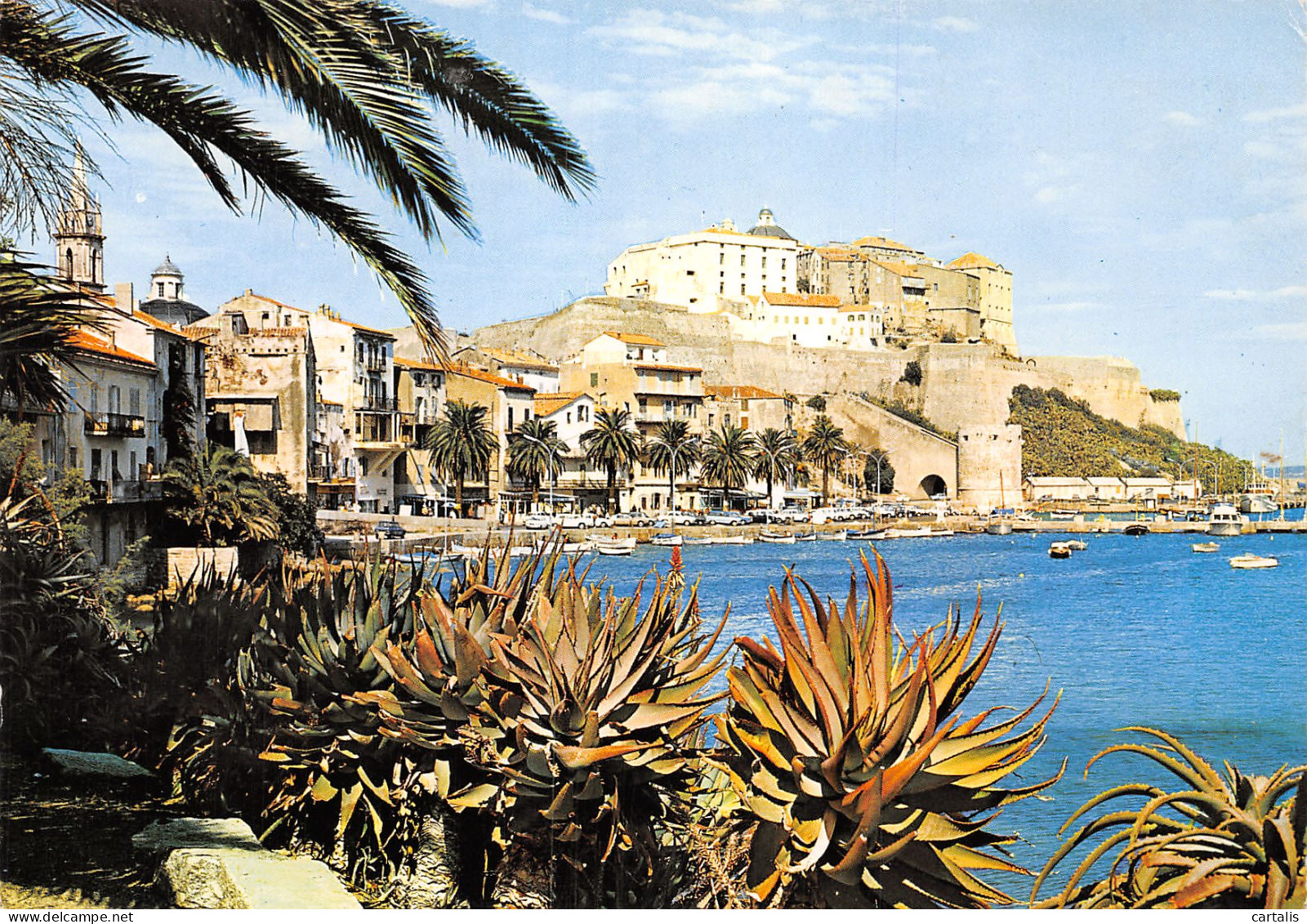 2B-CALVI-N°C4077-D/0105 - Calvi