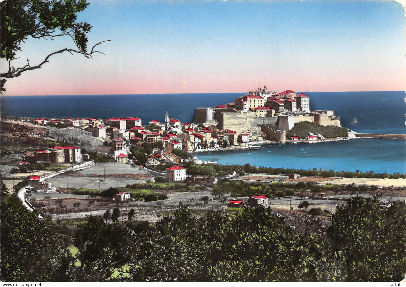 2B-CALVI-N°C4077-C/0087 - Calvi