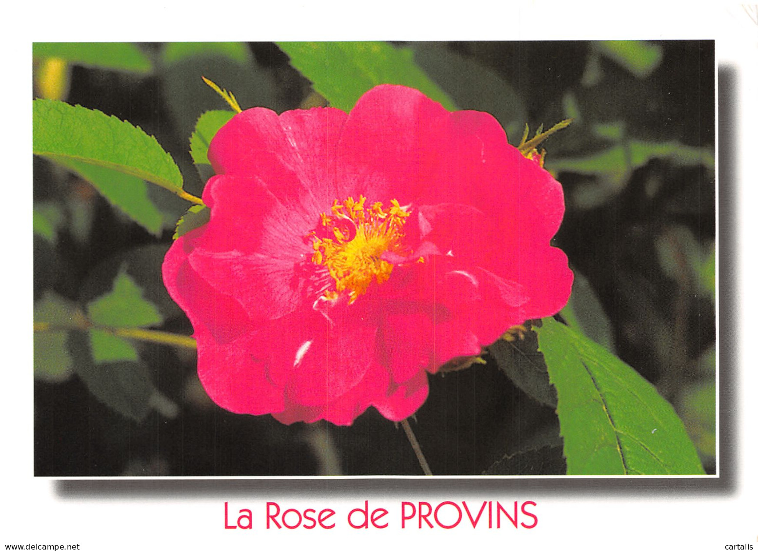 77-PROVINS-N°C4077-B/0097 - Provins