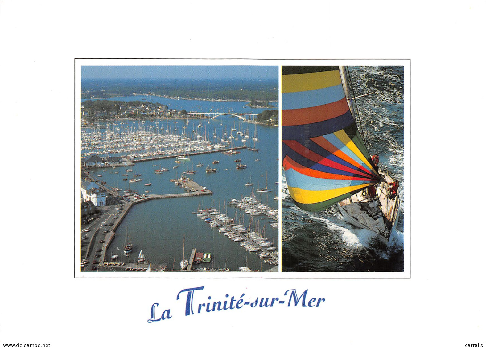 56-LA TRINITE SUR MER-N°C4077-B/0007 - La Trinite Sur Mer