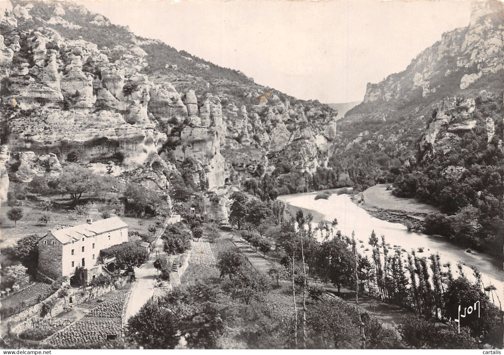 48-GORGES DU TARN-N°C4078-A/0193 - Gorges Du Tarn