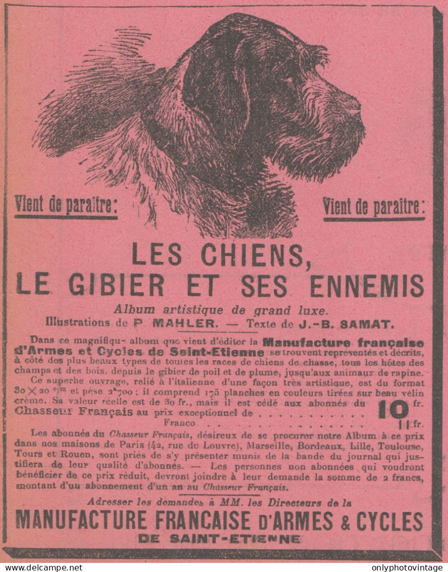 Les Chiens, Le Gibier Et Ses Ennemis - Pubblicità D'epoca - 1907 Old Ad - Advertising