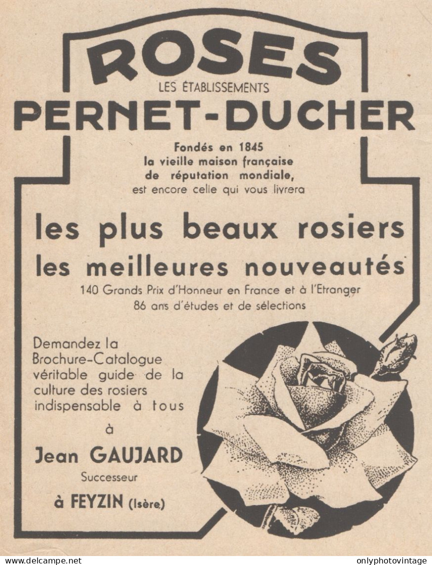 Roses Pernet-Ducher - Jean GAUJARD - Pubblicità D'epoca - 1931 Old Advert - Publicités