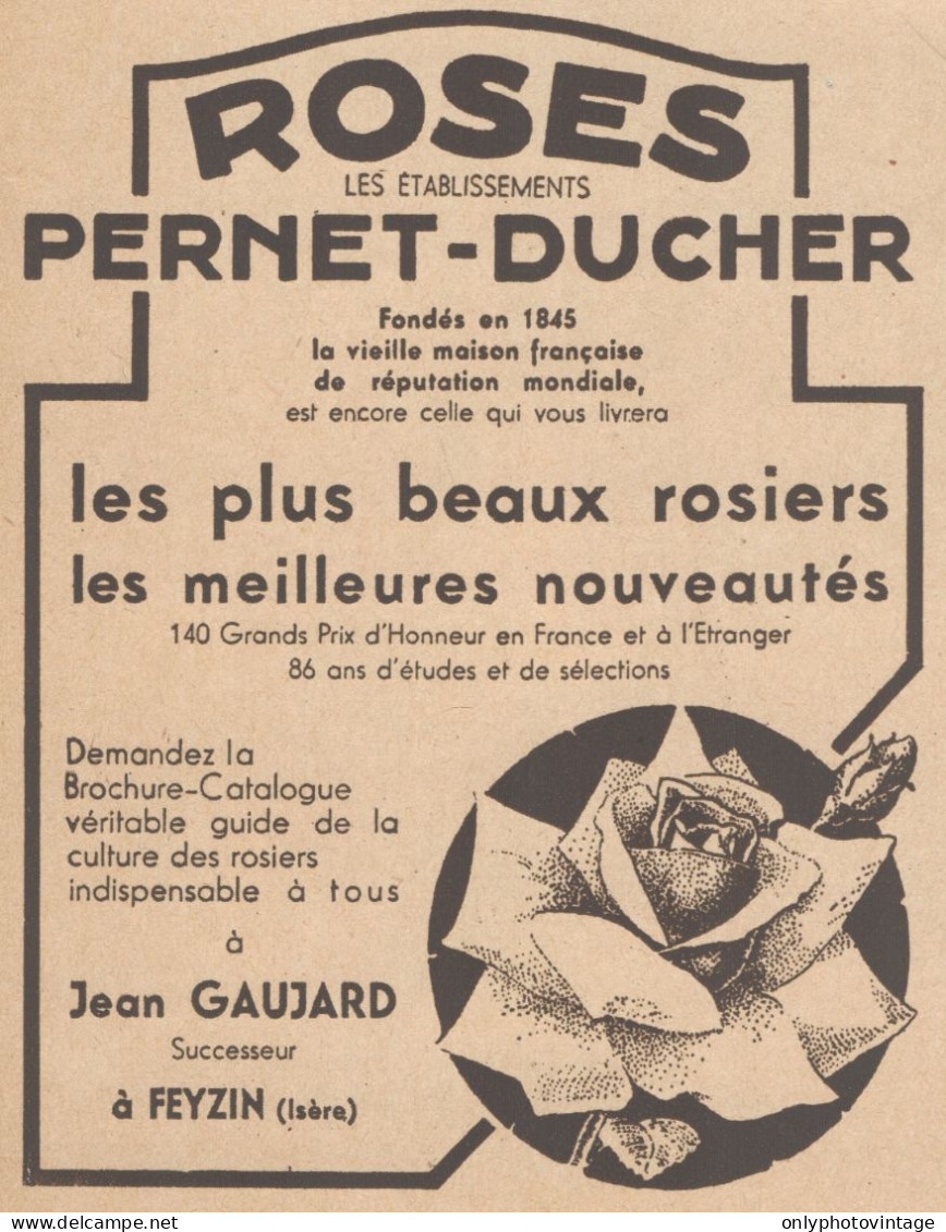 Roses Pernet-Ducher - Jean GAUJARD - Pubblicità D'epoca - 1931 Old Advert - Publicités