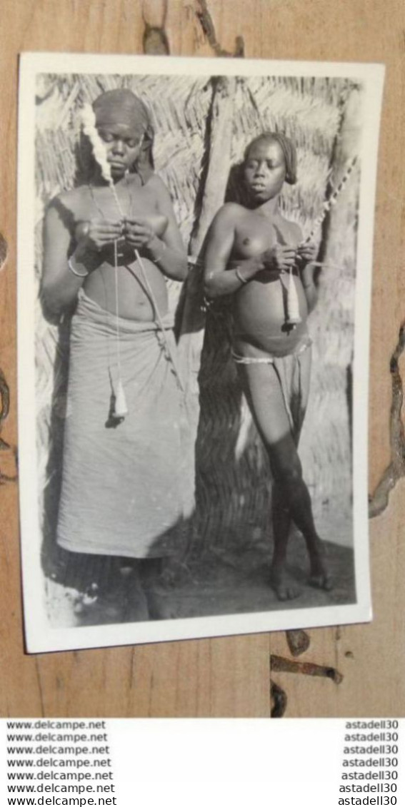 CONGO BELGE : Carte Photo Femmes Aux Seins Nues Par ZAGOURSKI ............... 210523-4673 - Congo Belge