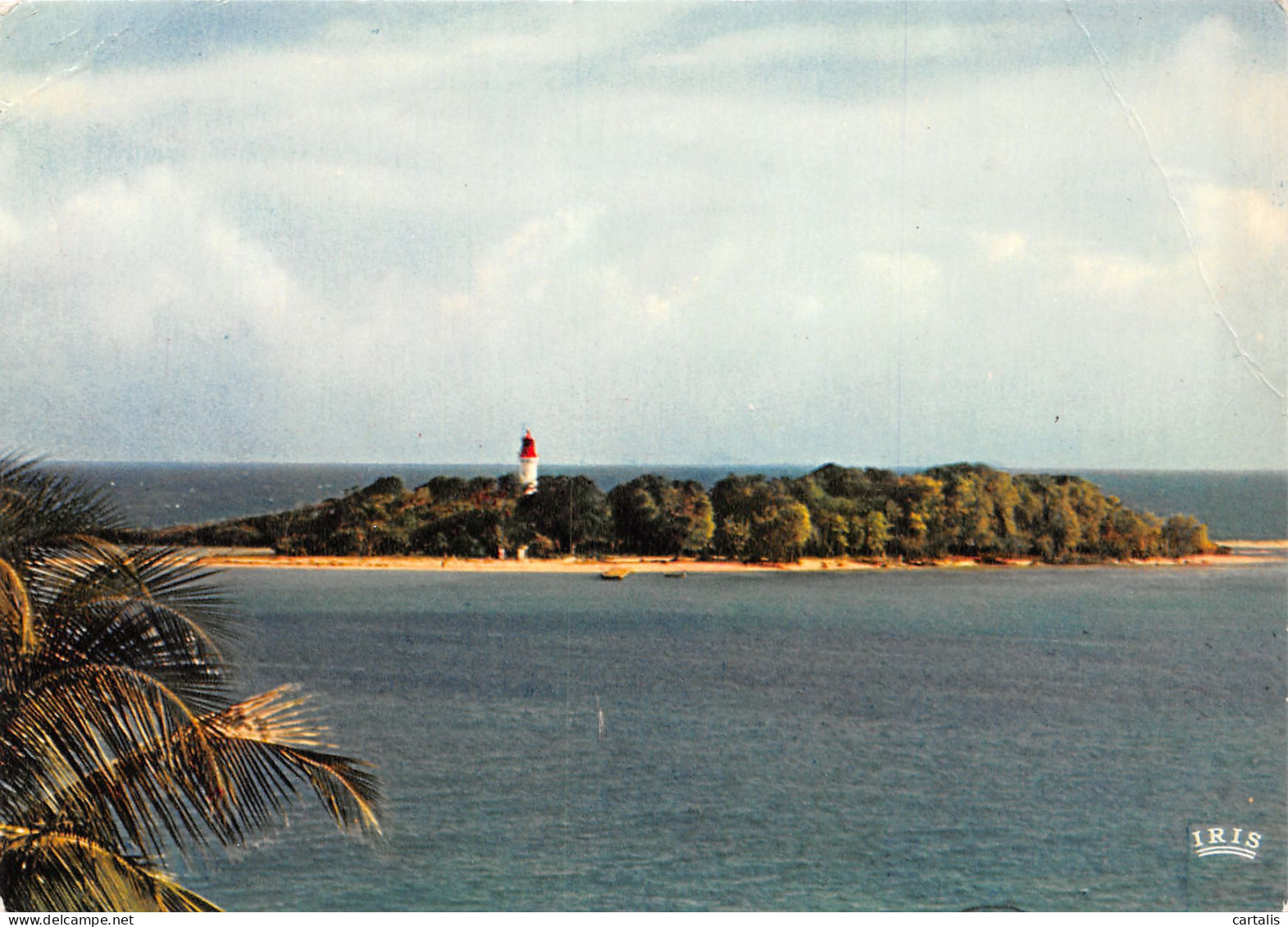 971-GUADELOUPE ILET DU GOSIER-N°C4079-C/0389 - Sonstige & Ohne Zuordnung