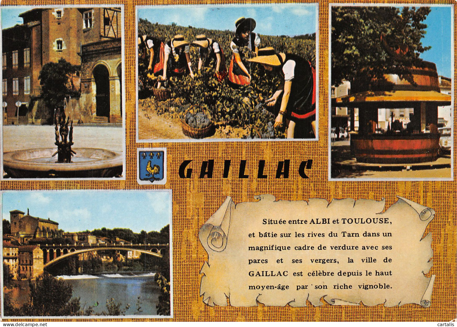 81-GAILLAC-N°C4080-C/0099 - Gaillac