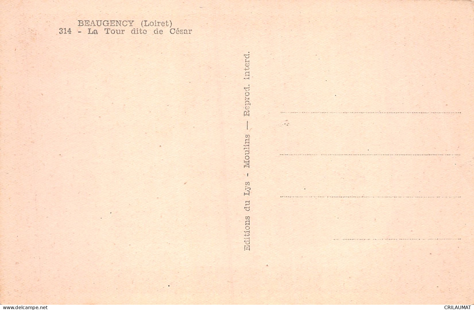 45-BEAUGENCY-N°T5101-B/0245 - Beaugency